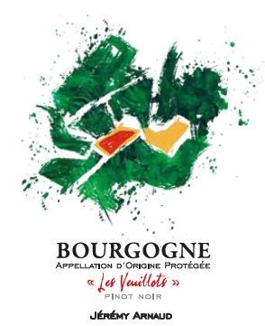 Domaine Jeremy Arnaud - Bourgogne Rouge "Les Veuillots" 2023 1,5 L