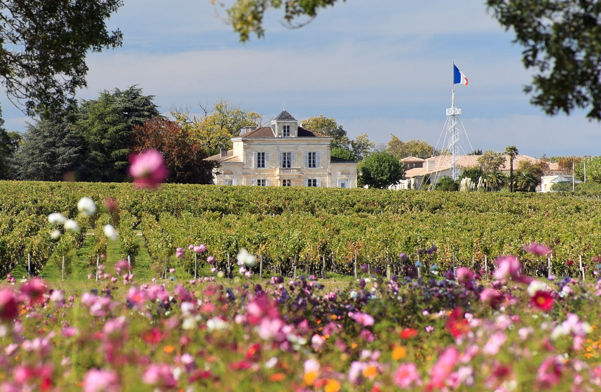 Chateau Montrose