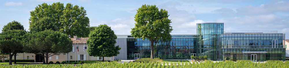 Weinbergreihen vor dem Chateau