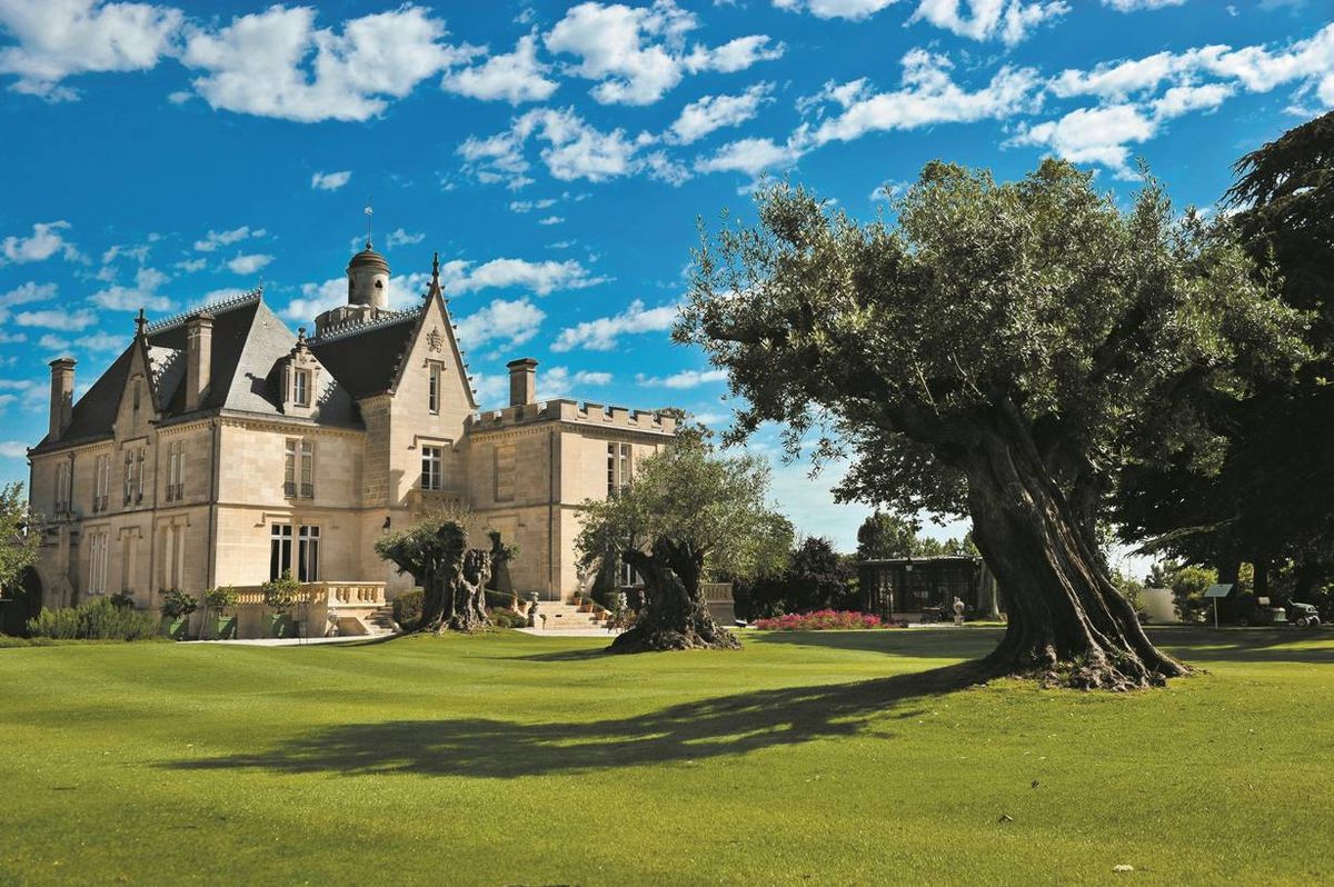 Bild von Chateau Pape Clement