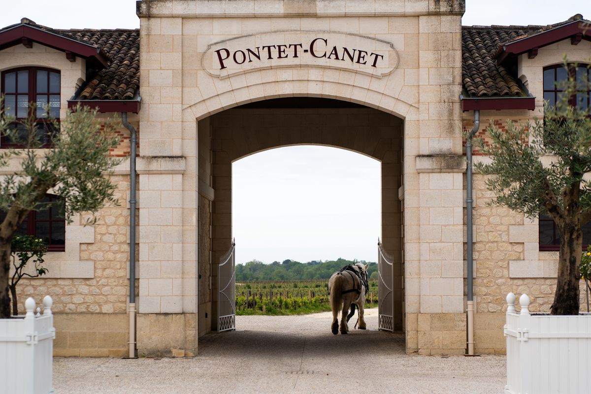 Bild von Chateau Pontet Canet