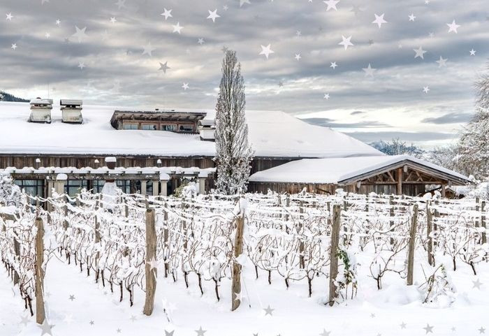 WeihnachtsgrĂĽĂźe