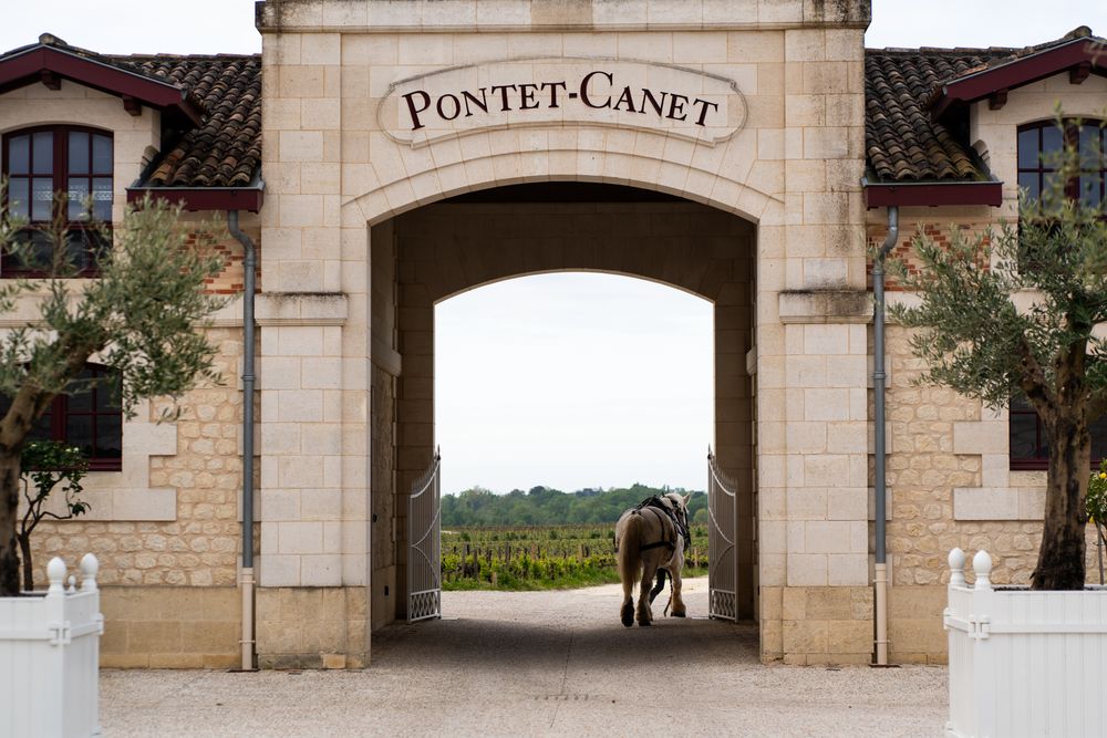 Chateau Pontet Canet