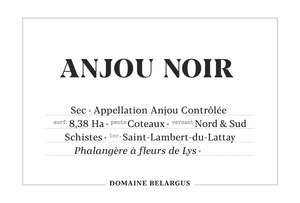 2022 Anjou Noir Domaine Belargus Anjou