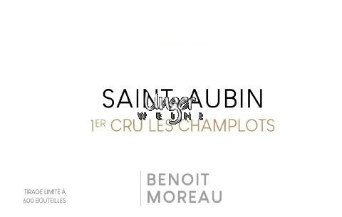 2021 Saint Aubin 1er Cru En Remilly Benoit Moreau Cote de Beaune