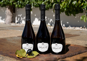 3 Flaschen Champagner Grand Cellier Brut 1er Cru + Champagner Verschluss Vilmart Champagne