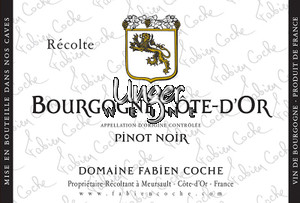 2022 Bourgogne Cote D’Or Pinot Noir Domaine Fabien Coche Burgund