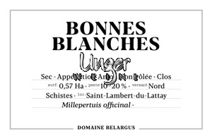 2021 Bonnes Blanches Domaine Belargus Anjou