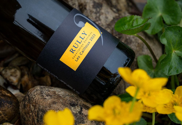 Weißer Burgunder zum Sonderpreis