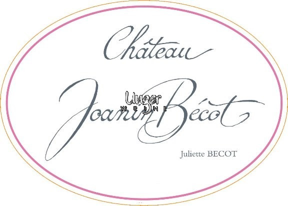 2020 Chateau Joanin Becot Cotes de Castillon