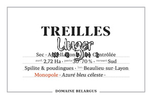 2020 Treilles Domaine Belargus Anjou