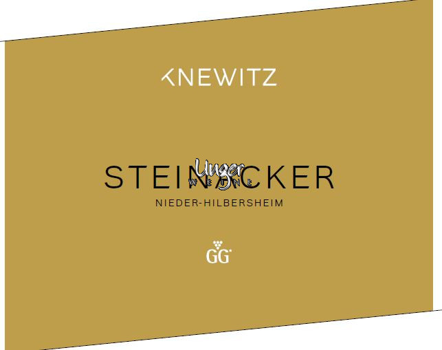 2022 Steinacker Riesling GG Trocken Weingut Knewitz Rheinhessen