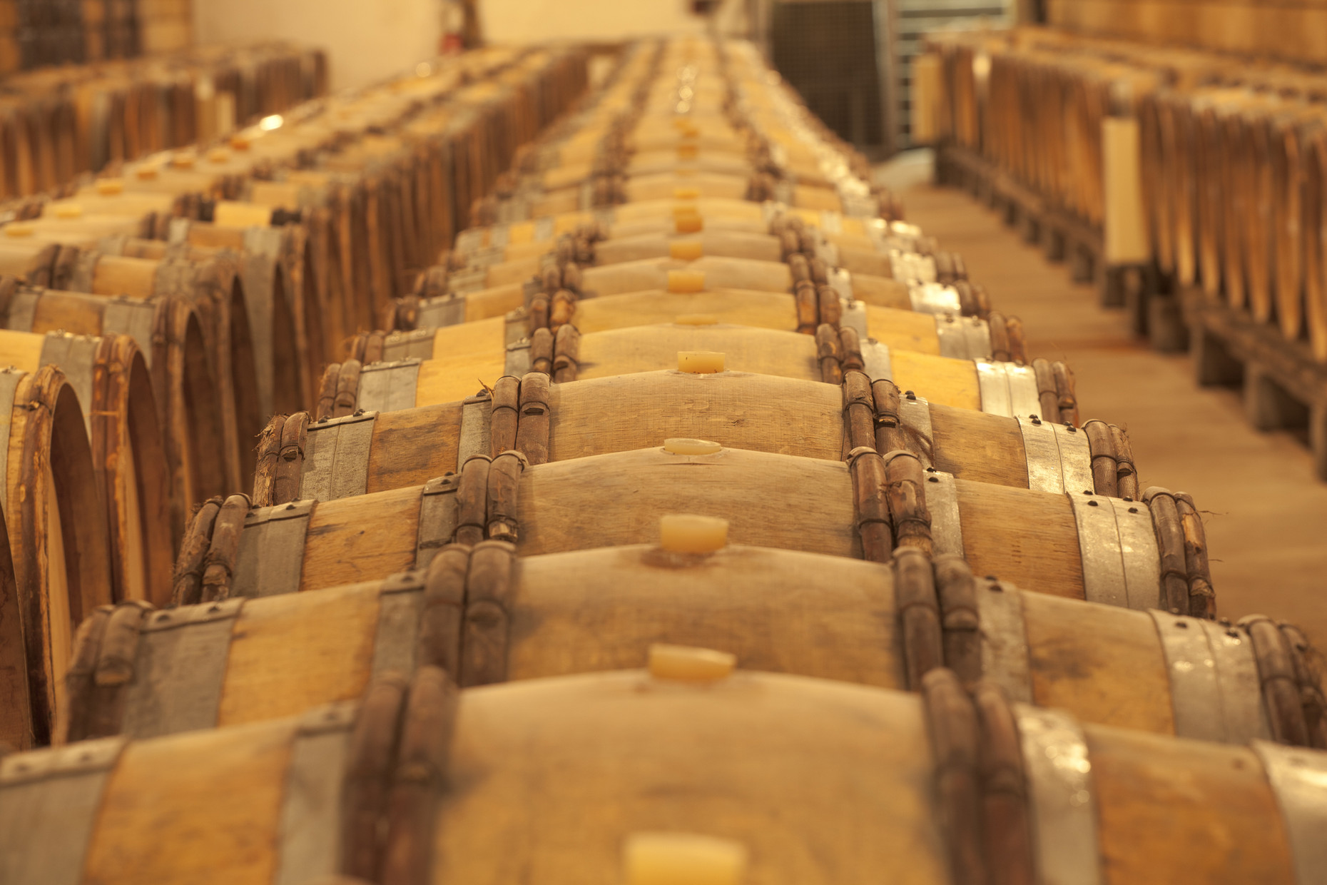 Domaine William Fevre