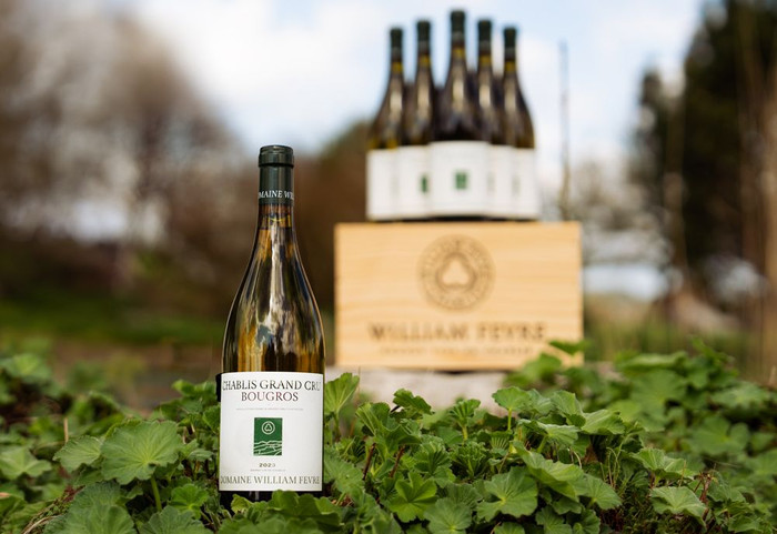 Alles Lafite oder was...?