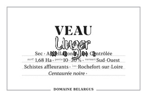 2021 Veau Domaine Belargus Anjou