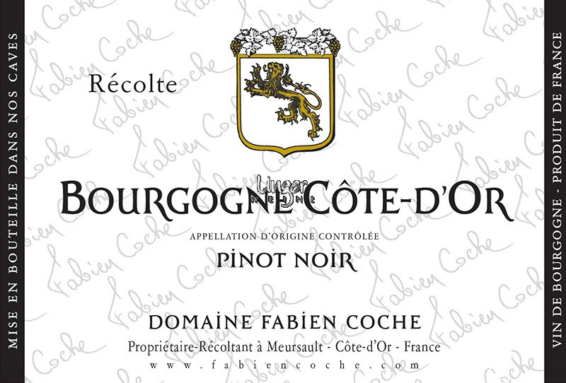 2022 Bourgogne Cote D’Or Pinot Noir Domaine Fabien Coche Burgund