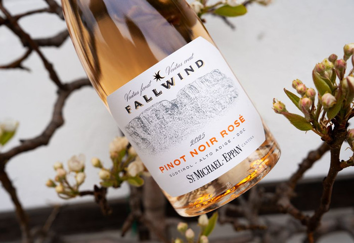 FALLWIND Pinot Noir Rosé 2025