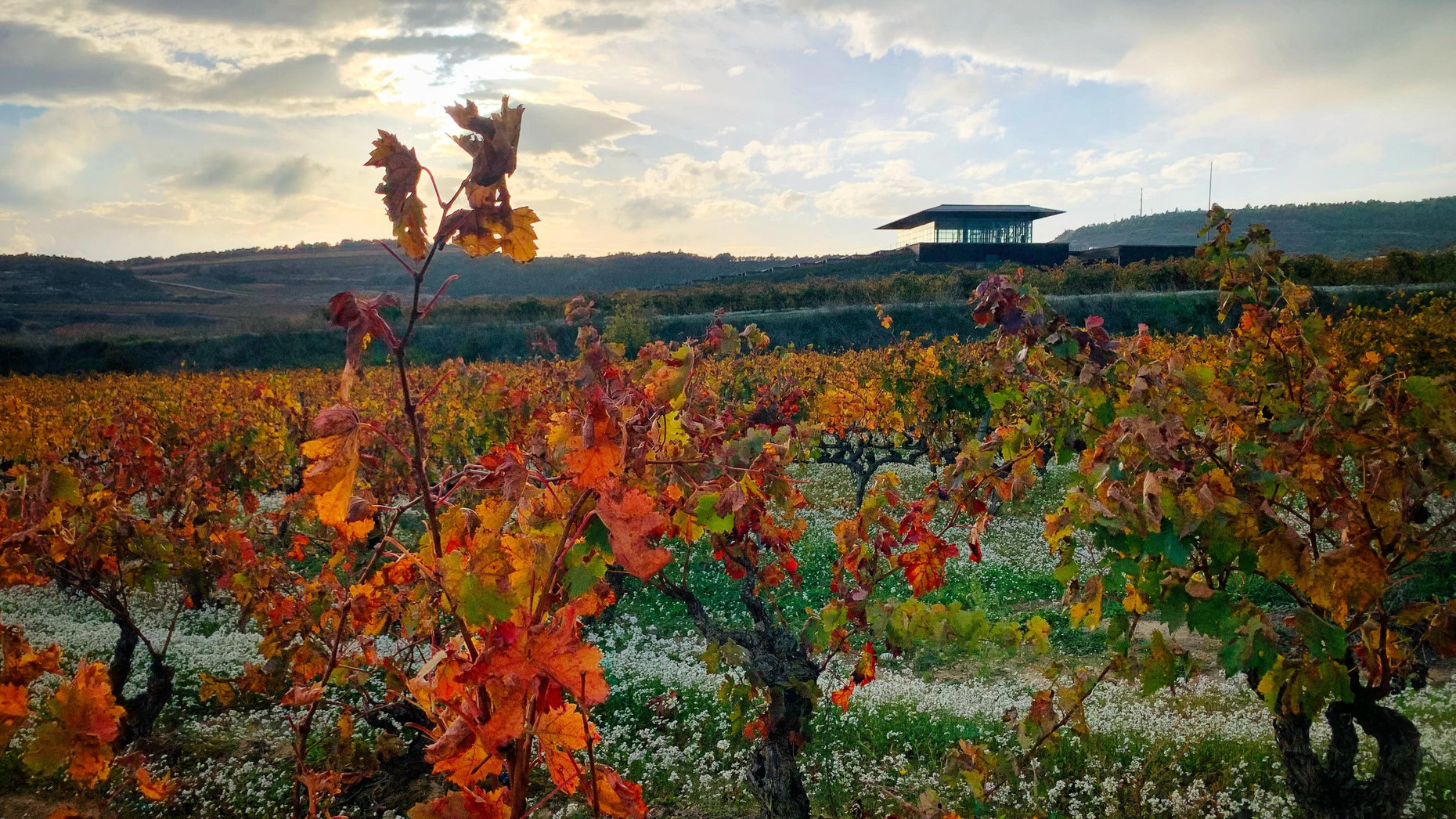 Bodegas Baigorri