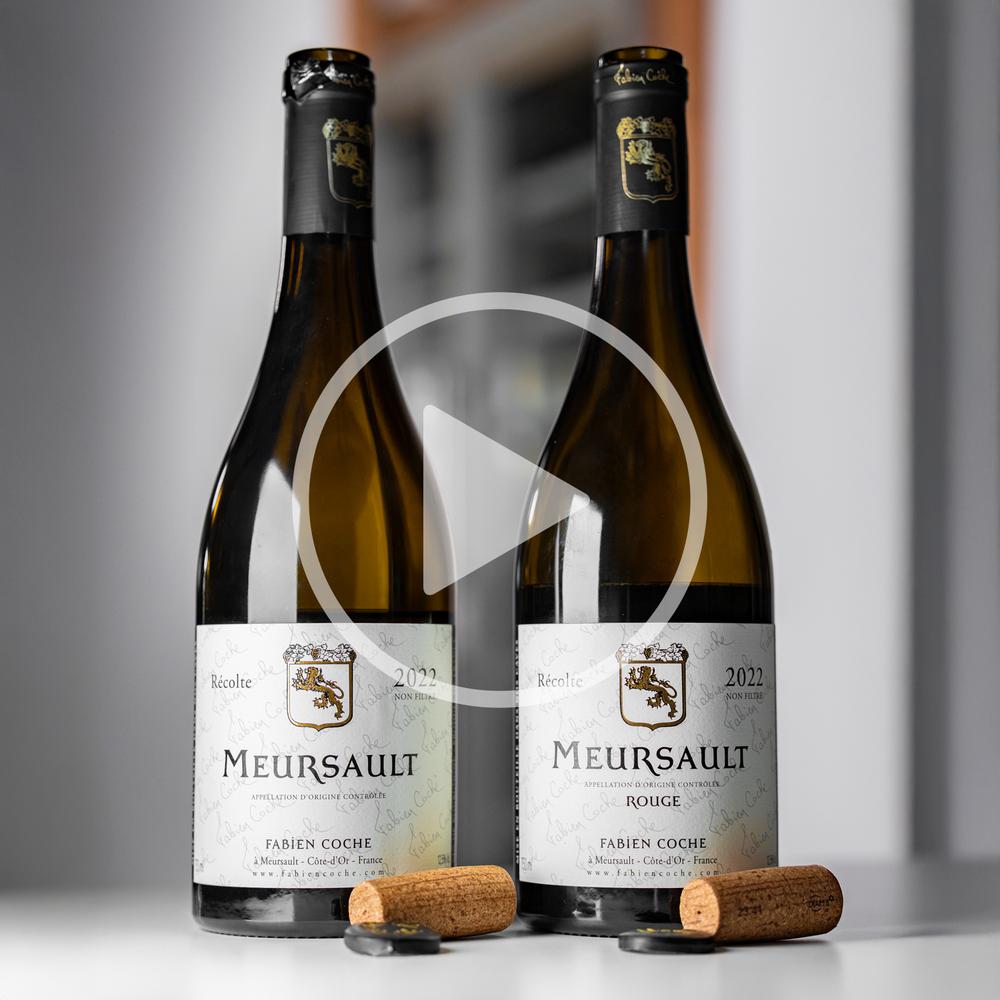 2022 Meursault Blanc + Meursault Rouge Domaine Fabien Coche Cote de Beaune