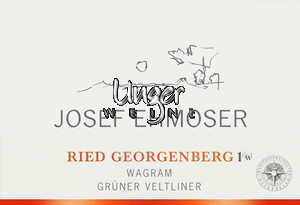 2022 Grüner Veltliner Ried Georgenberg, Erste Lage Weingut Josef Ehmoser Wagram