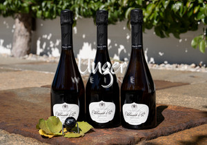 3 Flaschen Champagner Grand Cellier Brut 1er Cru + Champagner Verschluss Vilmart Champagne