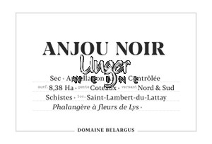 2022 Anjou Noir Domaine Belargus Anjou